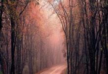 必赢：人民日报专访郑钦文：“有强大对手，才让我充满动力”人民日报体育微信公号.