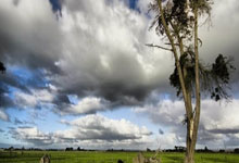 必赢：胡梅尔斯：我要向所有人道歉，我的愚蠢失误让球队付出了代价.