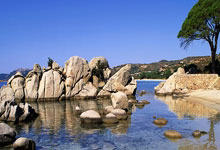 必赢：新秀合同即将到期！名记：76人希望能与格莱姆斯续约.